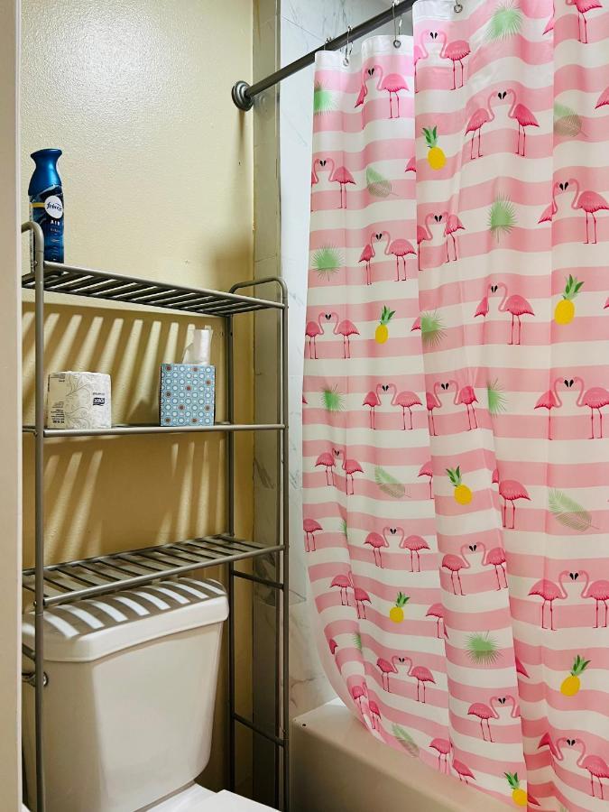 Apartment Near Tpa Airport Tampa Kültér fotó